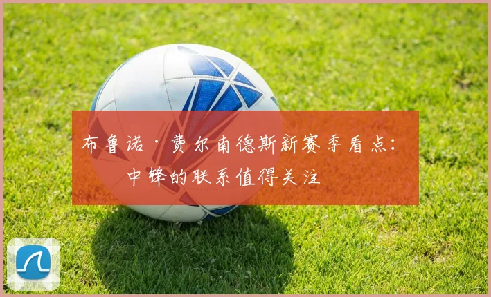 布鲁诺·费尔南德斯新赛季看点：与中锋的联系值得关注