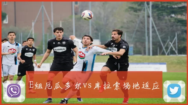 E组厄瓜多尔vs库拉索场地适应